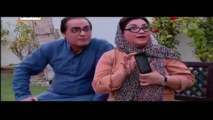 Bulbulay Episode 387 ARY Digital 21 February 2016 Full Drama HD Video Dailymotion