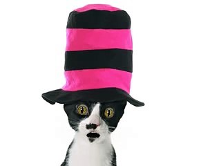 Dr Suess Style Birthday Poem Read by a Cat in a Hat
