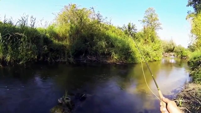 Great fly fishing on the lure bait tackle nymph . Catching small river trout.