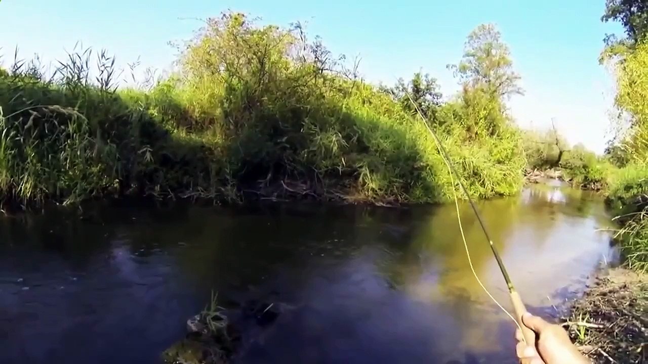 Great fly fishing on  the lure bait tackle "nymph". Catching small river trout.