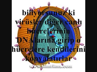 Evrime genetik kanıt