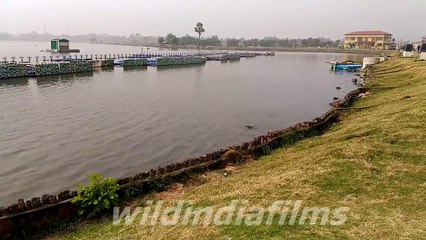 New Town Eco tourism park lake Enjoy the Beauty