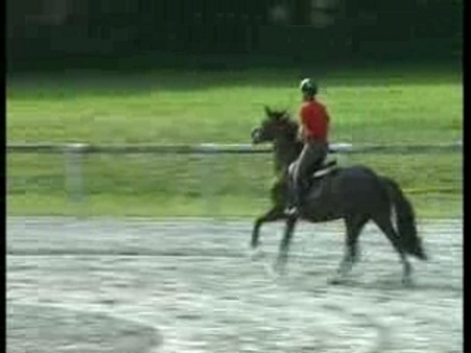 NOUBA - LE LION D'ANGERS - 6ANSB 1ERJ