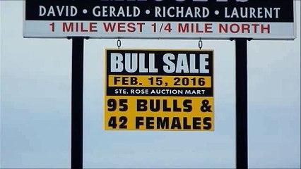 Rendezvous Farms Bull Sale Feb 15 2016 Part 1 of 3