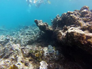 République dominicaine Alexia et Denis