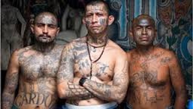 وثائقي جودة عالية | مواجهات خطيرة :عصابات فيلا دافيلا وثائقي خطير جدا