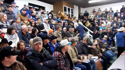 Rendezvous Farms Bull Sale Feb 15 2016 Part 2 of 3