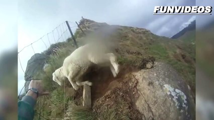 Fails Bestiales del fin de Semana 2