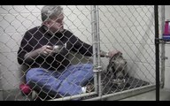This Veterinarian Ate With A Neglected Dog In A Cage To Make Her Feel Comfortable