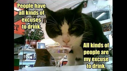 funny dog videos compilation try not to laugh funniest- funny dog 2015 part 2