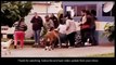 Best Public Animal Attack Funny Animal Attack Video