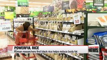 Korean researchers find black rice helps reduce body fat