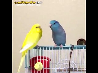 Nihat Hatipoğlu'nu çileden çıkaran itiraf