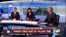 10News crew hurt by falling tree