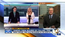 10News crew injured by falling tree