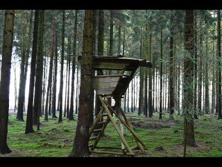 The Most Dangerous Game by Richard Connell (Audiobook) _ SHORT STORY