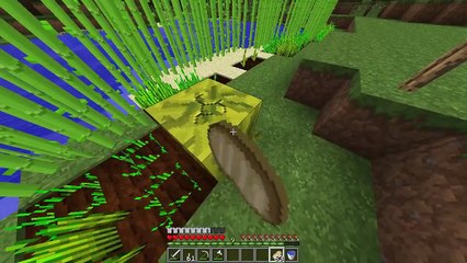 Minecraft Survival Renacido EP 1 - El primer avance