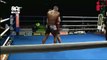 Funny Video: Kick Boxer Knocked Out Like a Falling Tree