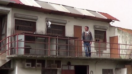 A adrenalina da Columbofilia 1º Concurso, Solta de Évora da A.C.D.Aveiro 2016