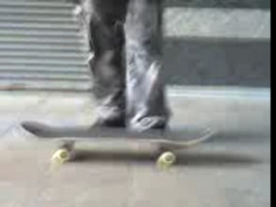 Skate