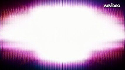 La petite tortue et les trois chiens