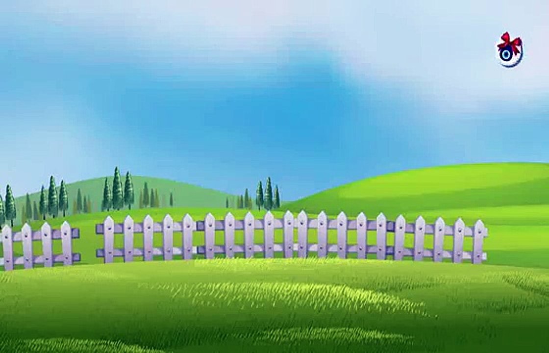 Migros Kurban Kolisi 2014 Reklamı