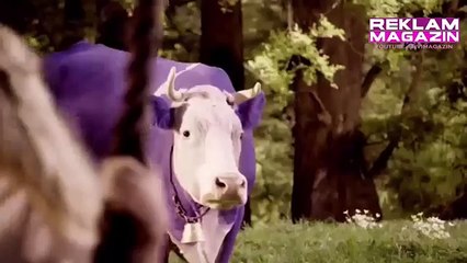 Milka Kalpleri Yumuşatan Çikolata Reklamı