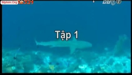 Cô Gái Đến Từ Đại Dương - Tập 4 Nhấn Link Bên Dưới