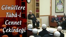 Fethullah Gülen | Canlı yayınlanan 21 Şubat 2016 tarihli Bamteli Sohbeti.