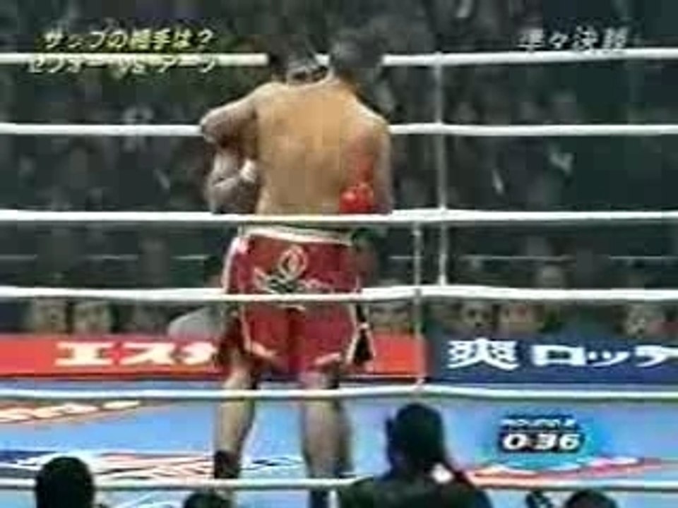 Peter Aerts Vs Ray Sefo 2002