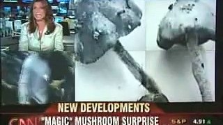 Magic mushrooms on CNN Long lasting positive effects