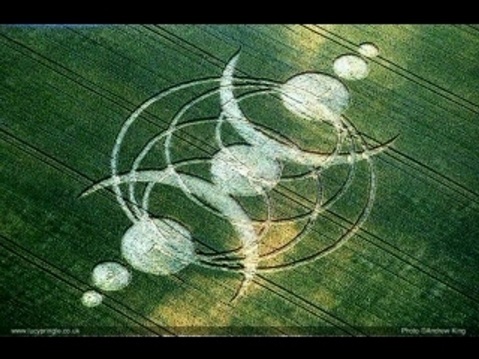 Crop circle 2005-2006 début 2007