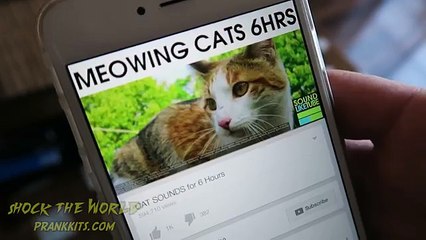 FUNNY CAT MEOW PRANK! - HOW TO PRANK