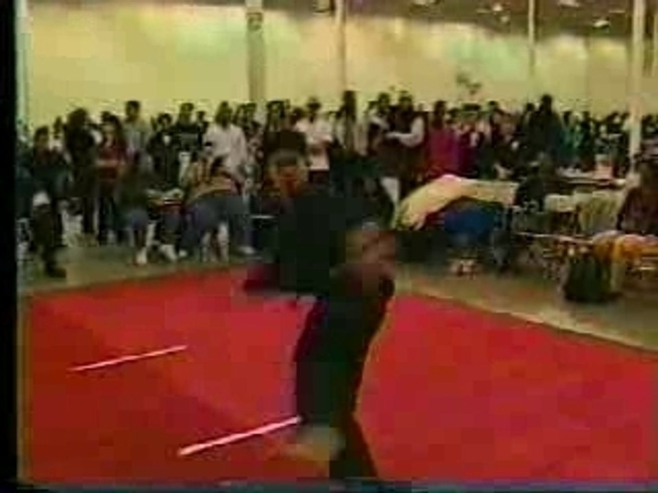 Démonstration de divers arts martiaux (acrobatiques)