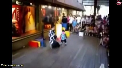 Funny videos - Most Funny Monkey Videos 2014