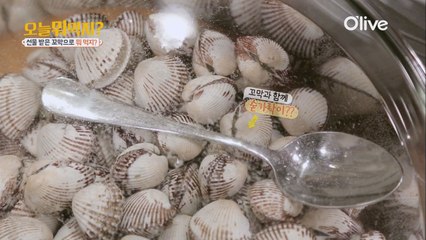 숟가락 조개 해감 꿀팁!
