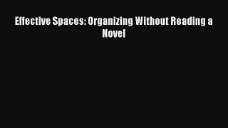 Download Effective Spaces: Organizing Without Reading a Novel  Read Online