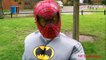 Spiderman cartoon Spiderman ,Batman, Batgirl fights - Superhero Battle Movie In real life!