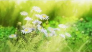 【Kagamine Rin, Kagamine Len, Yuuma (VY2)】The Butterfly, Flower, and Spider【English Subtitl