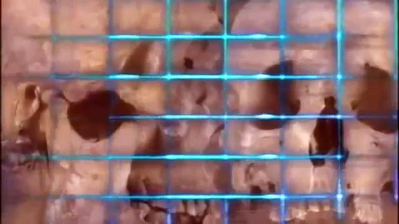 Unknown Man 'E': The Most Mysterious Mummy in the World (Ancient Egypt History Documentary)