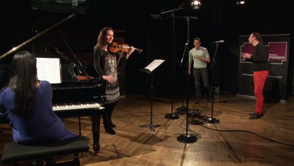 Chants d'oiseaux Dvorak le silence des bois