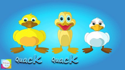 Six Little Ducks That I Once Knew Nursery Rhyme | Rhymes and Songs For Children