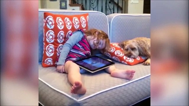 Кошки и Собаки! Смешная Видео Подборка Февраль 2015