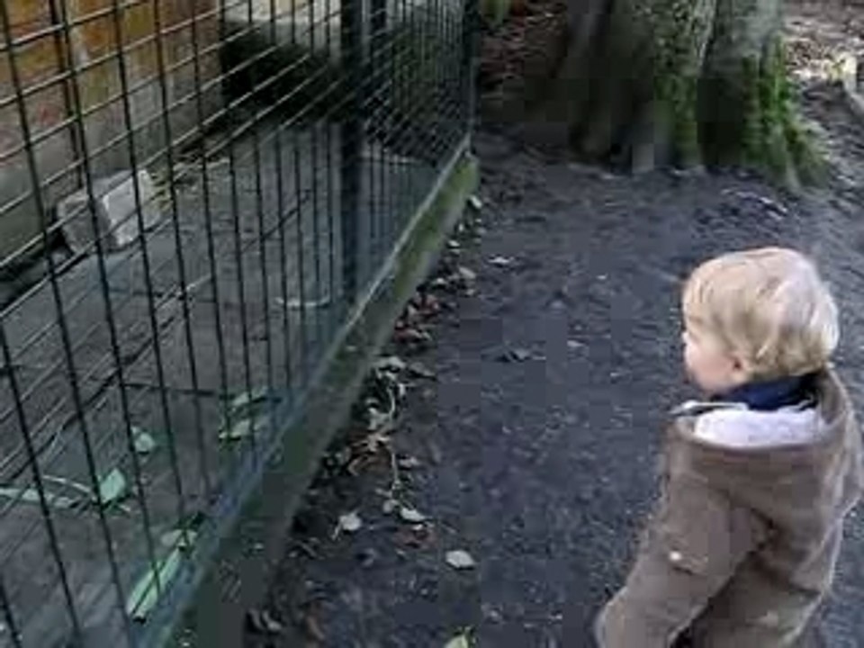 La biquette de la cour Roland