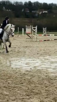 GITANO PREMIER CSO 1M