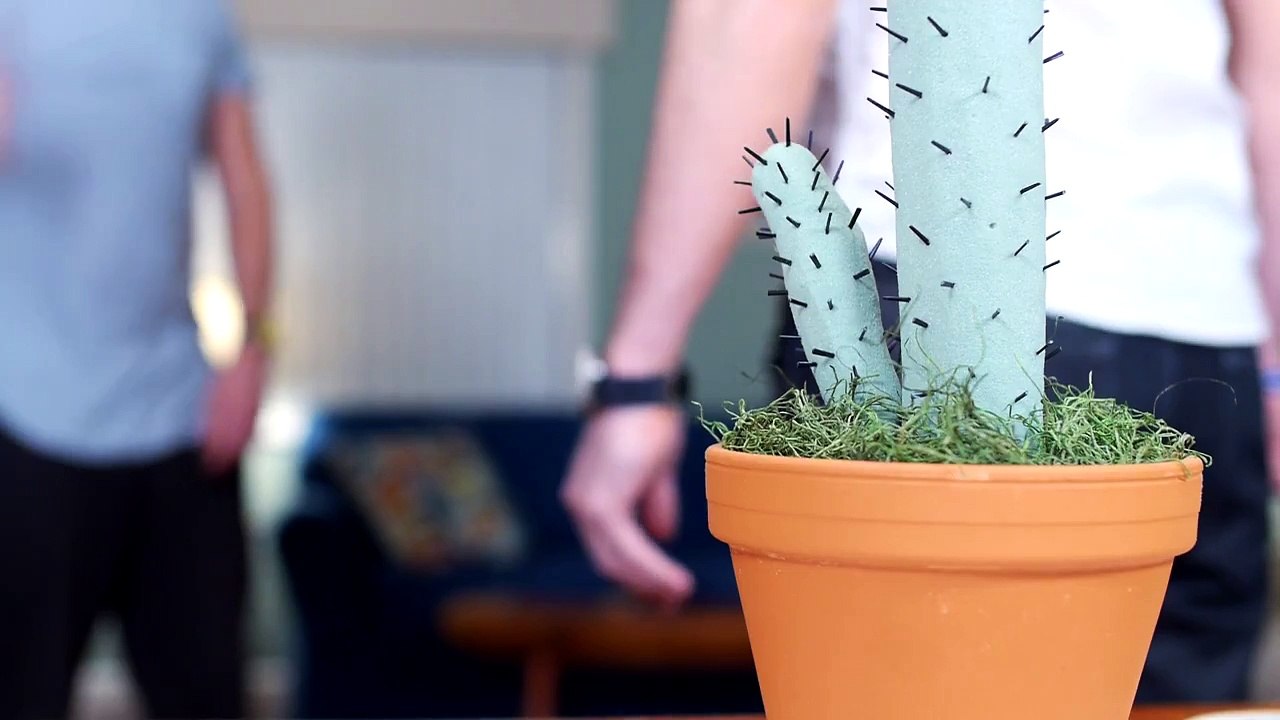 STUCK BY CACTUS!