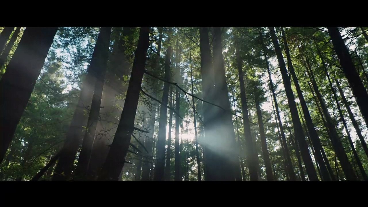 Peter et Elliott le dragon - Teaser [VOST]
