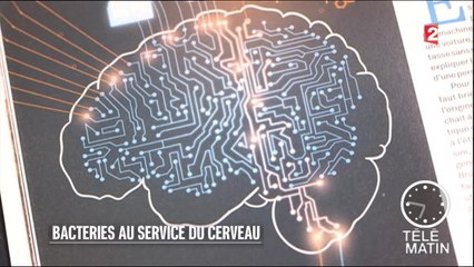 Sciences - Bactéries au service du cerveau - 2016/02/22