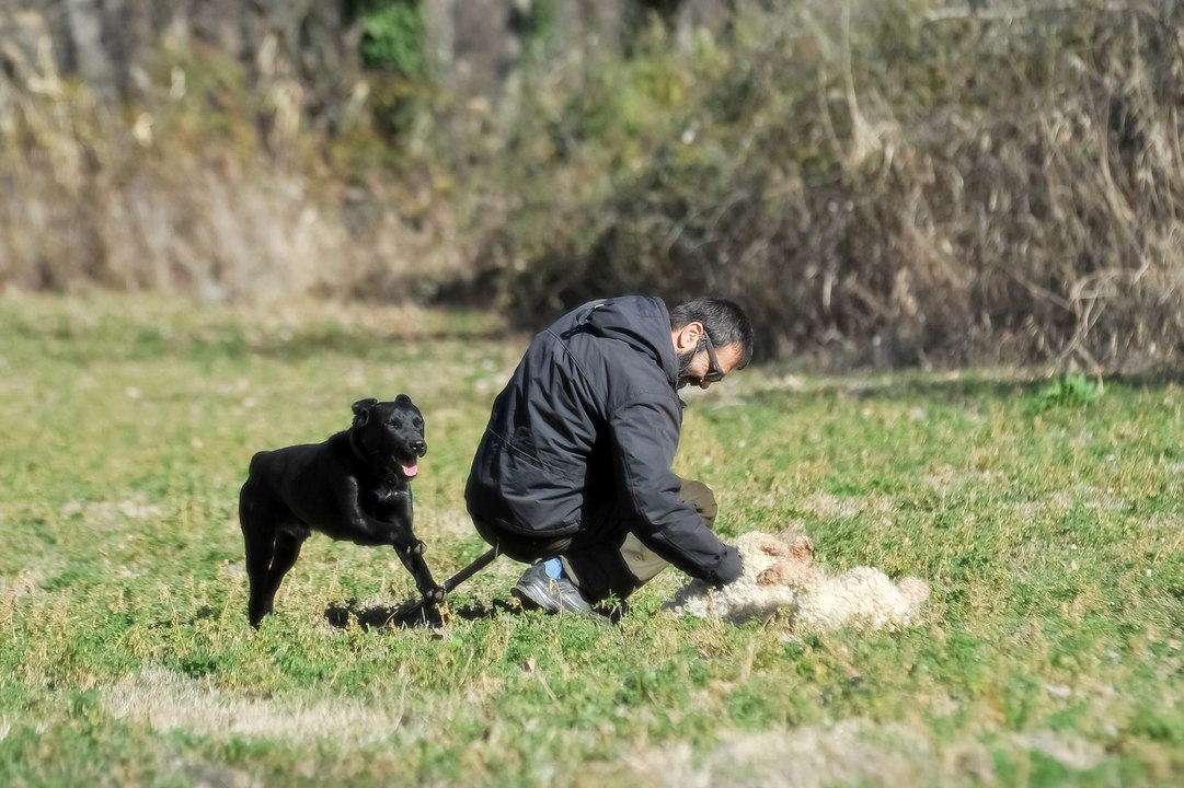 Β. Ελλάδα:  Μικροί συνεταιρισμοί απάντηση στην κρίση. Small cooperatives in Greece