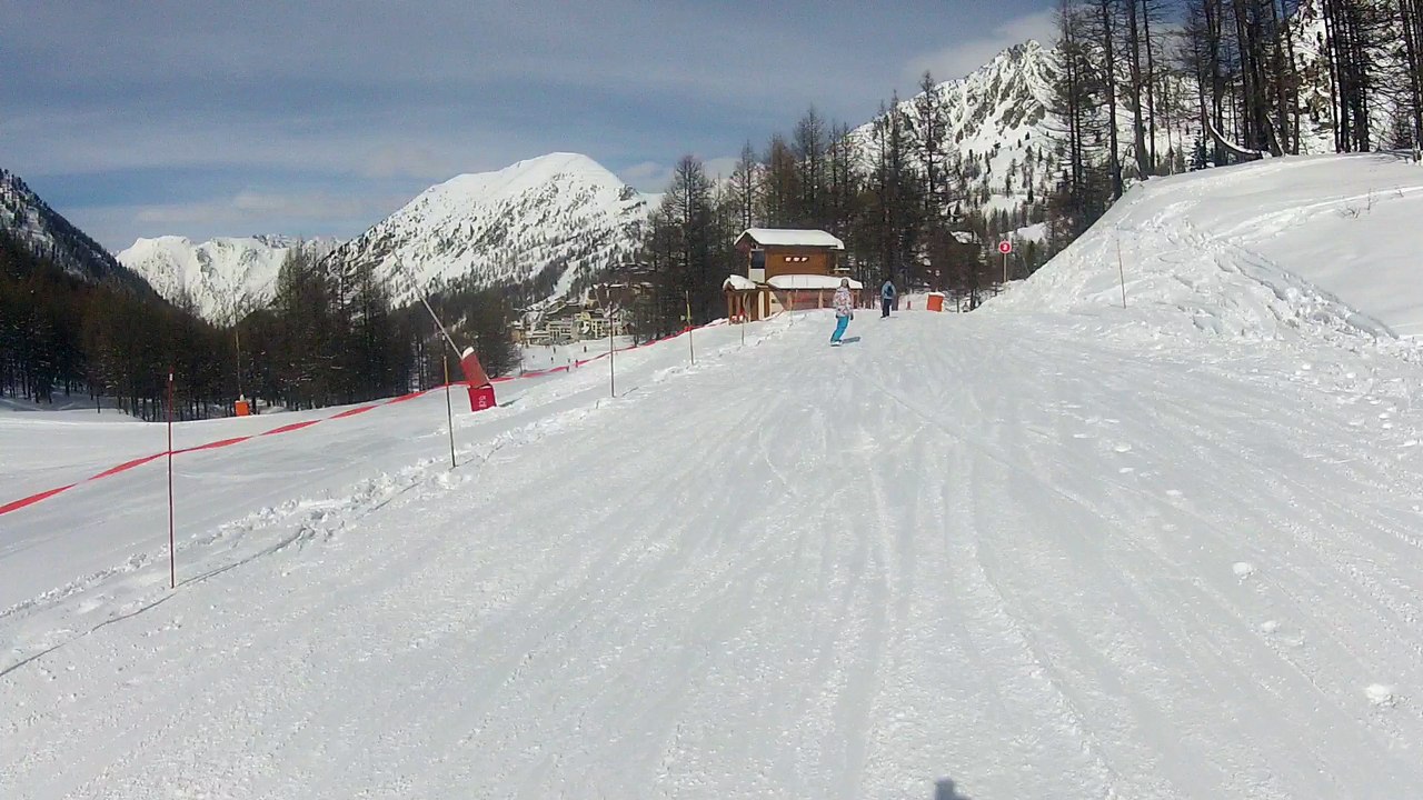 Mélèze